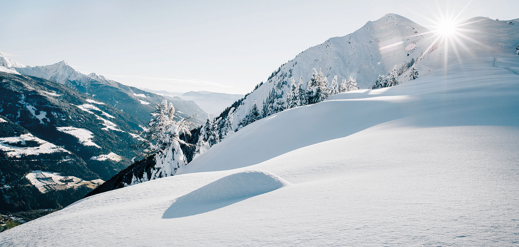 Sunlit snowy alpine mountain landscape with pristine snow drifts in foreground, snow-covered pine trees and sunburst over a peak