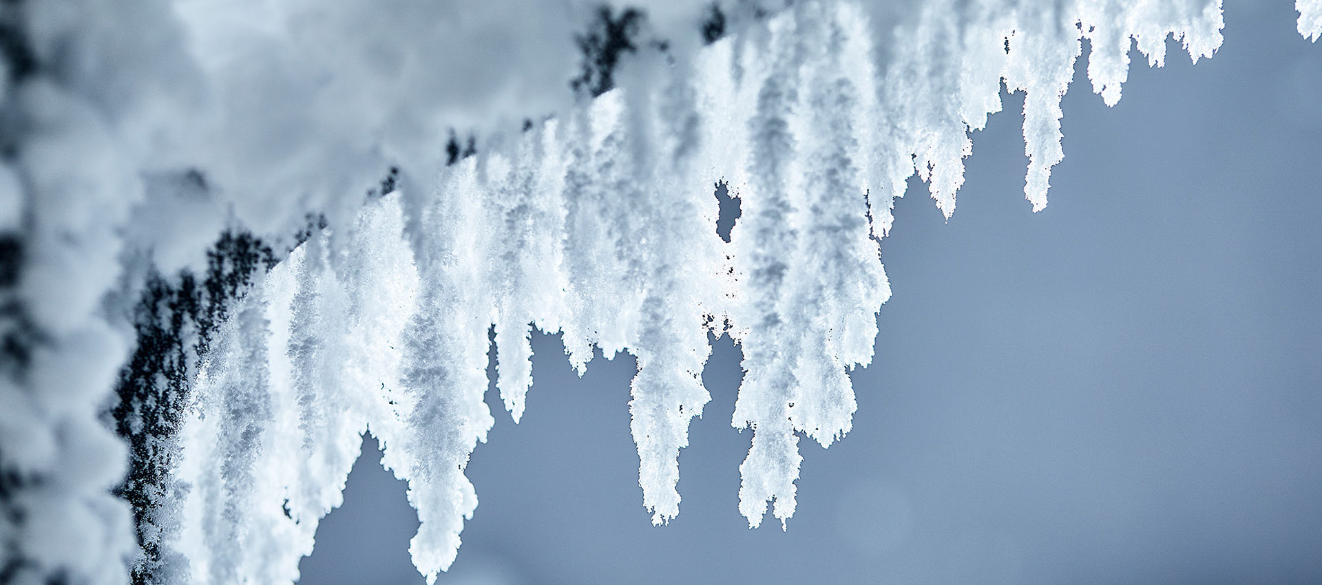 Detailaufnahme von Schnee- und Eiskristallen die wie Zacken von einer Kante herabhängen