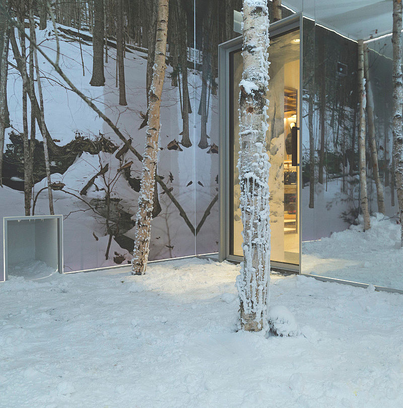 Snowy SnowRoom with icy birch logs and glass door to heated retail area