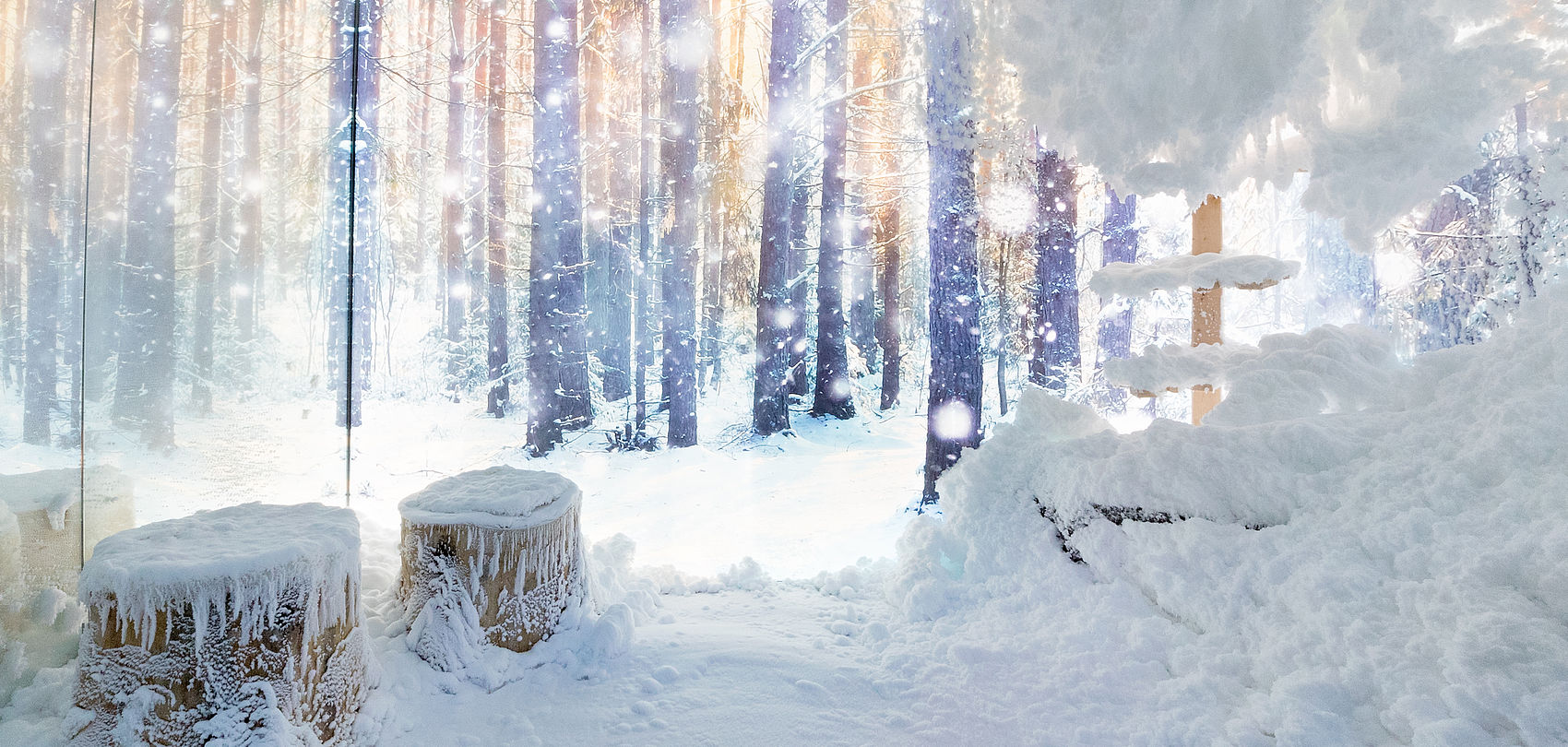 Verschneiter SnowRoom mit vereisten Baumstümpfen vor leuchtendem Winterwald-Wandbild