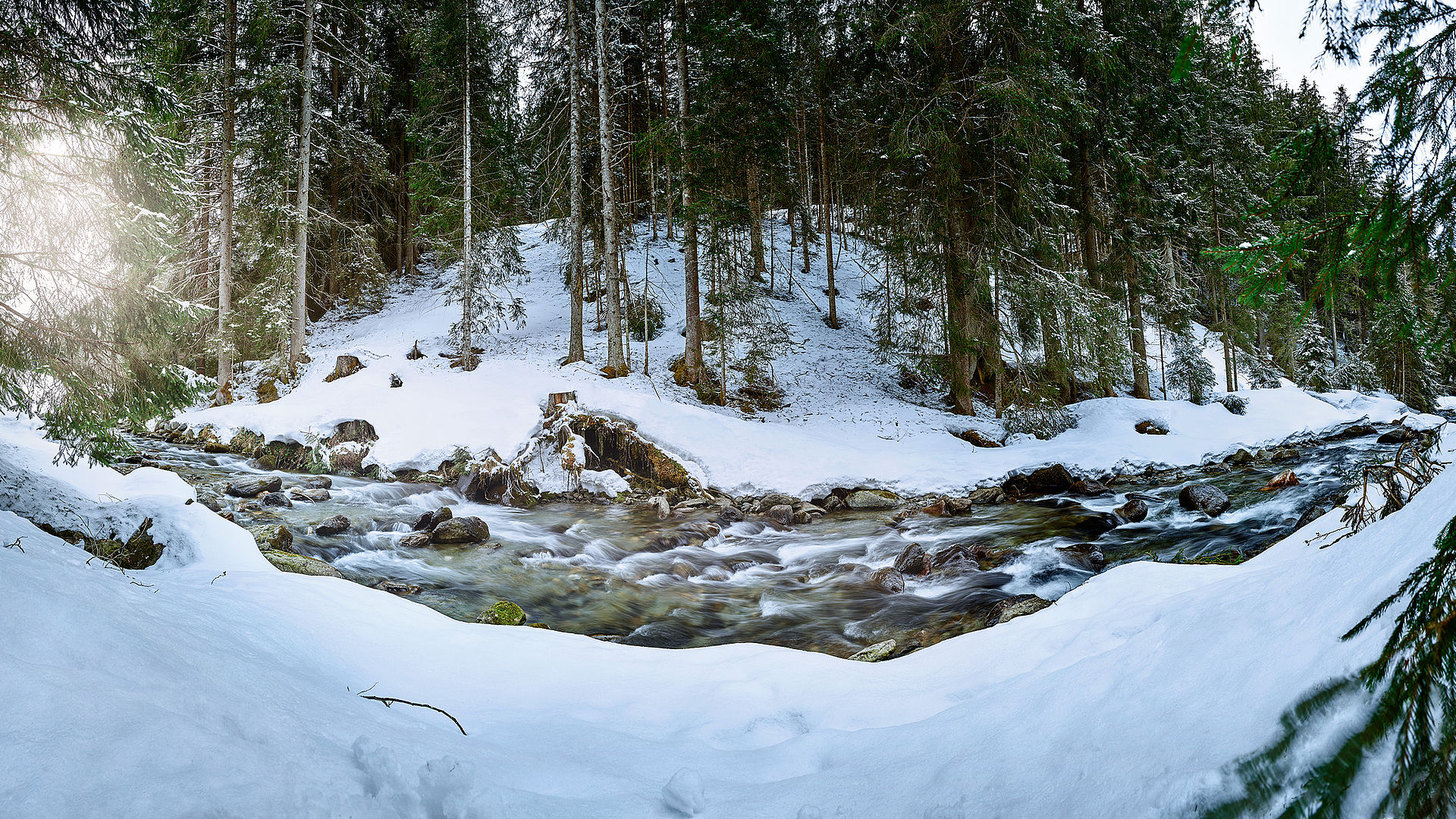 TechnoAlpin Forest Design Alpbachtal Panorama