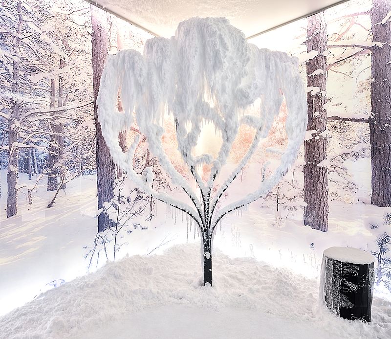Vereister Baum mit dichter Schneekrone im SnowRoom vor Winterwald-Panorama