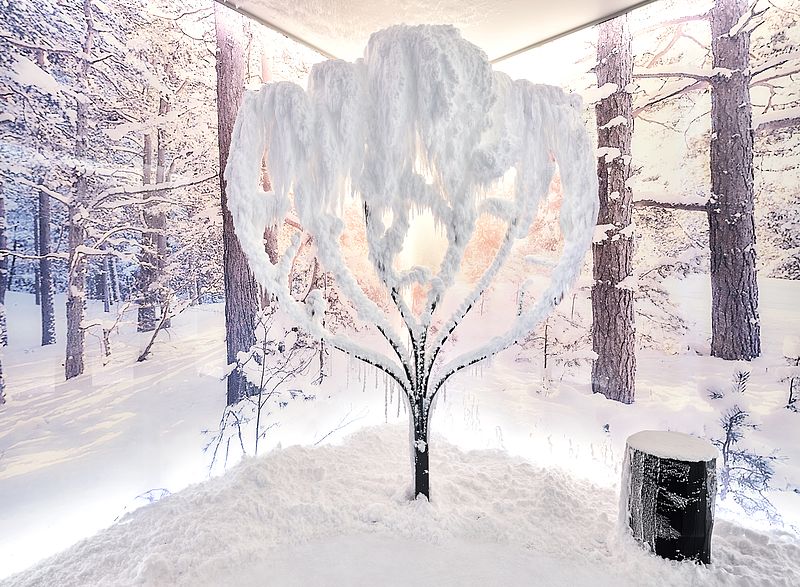 Vereister Baum mit dichter Schneekrone im SnowRoom vor Winterwald-Panorama