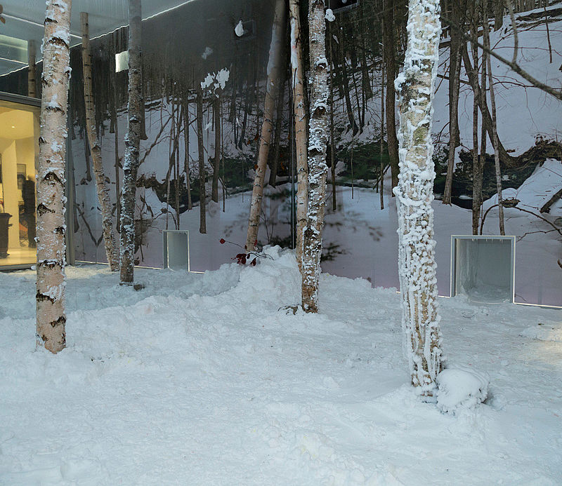 Indoor-Schneelandschaft mit verschneiten Birken und Winterwald-Wandbild im TechnoAlpin Snow Room.