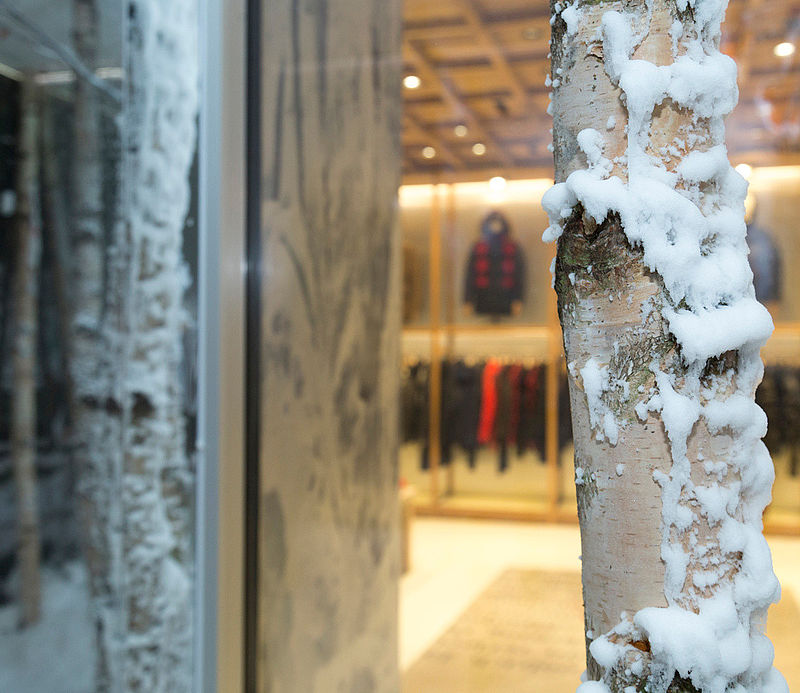 Schneebedeckter Birkenstamm im Vordergrund mit Blick in den warmen Store-Bereich.